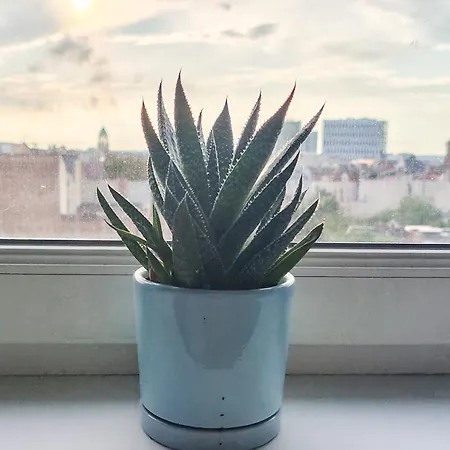 Mieszkanie Jezyce Mtp International Fair Parking Appartement Poznań